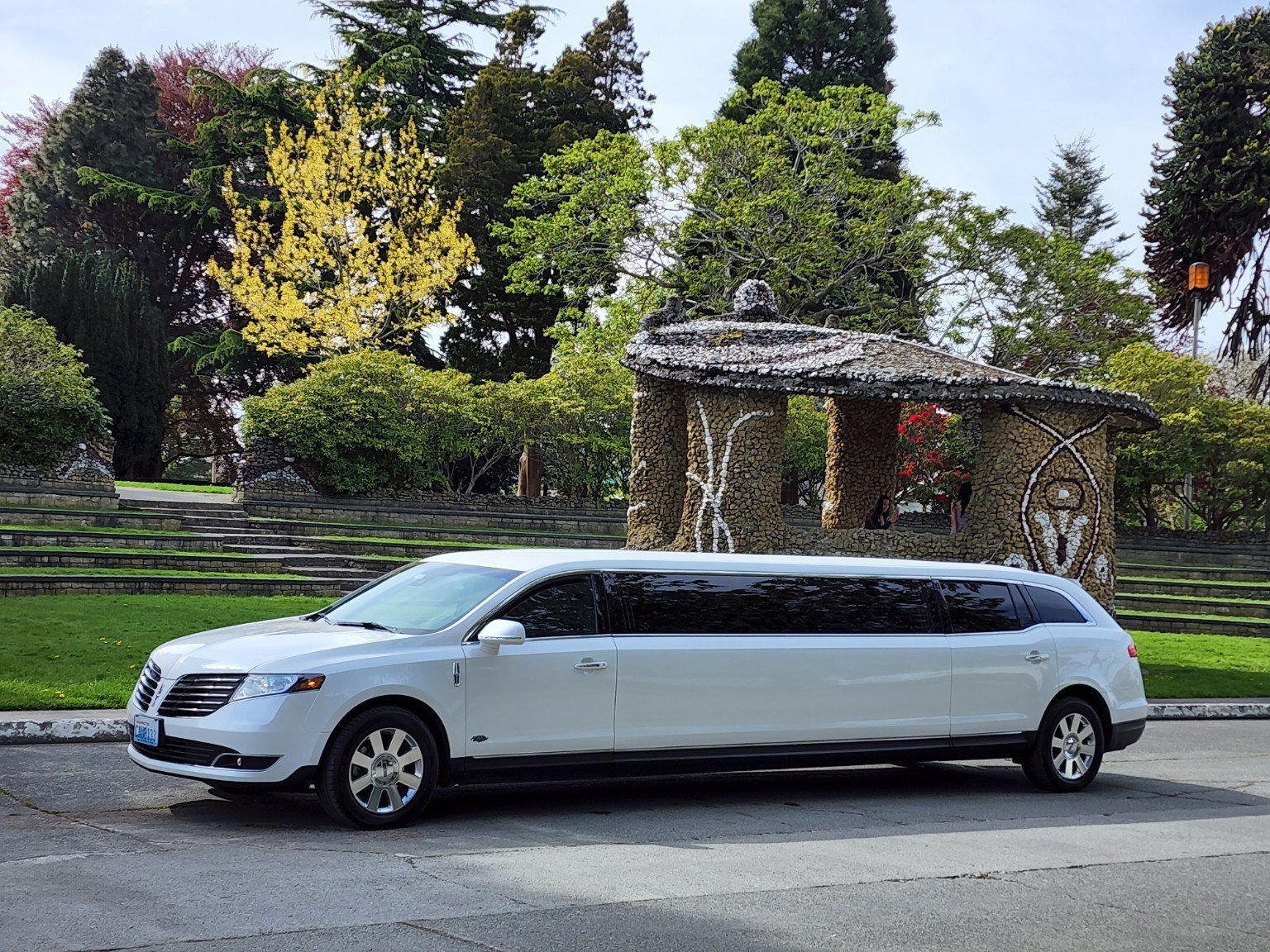 White stretch limousine at Causland Memorial Park in Anacortes
